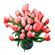 red tulips. Brazil