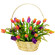 mixed color tulips in a basket. Canada